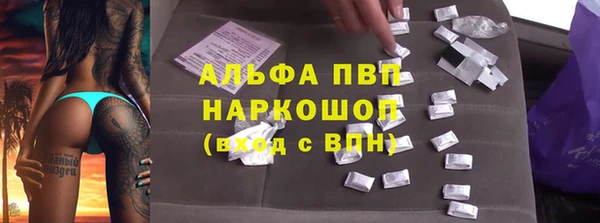 стафф Новодвинск