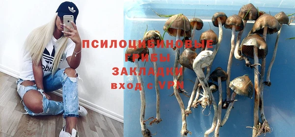 стафф Новодвинск