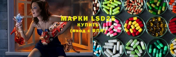 стафф Новодвинск